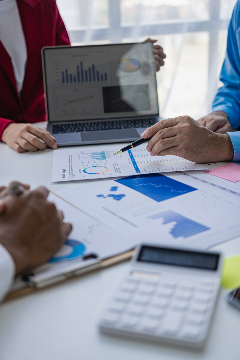 Investments, stock market analysis, document auditing, accounting, business structure analysis and information exchange, recruitment, human resources, teamwork strategies. Portrait image